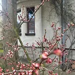 Prazdninovy Dum