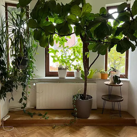 Prazdninovy Dum Villa Šternberk
