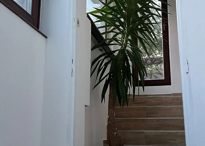 Prazdninovy Dum * Sternberk